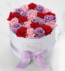 Magnificent Roses® Preserved Pink Roses | 1800flowers.com