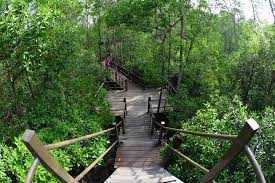 Some shots, and a video, of some of the wildlife i saw in and around tanjung piai national park (taman negara tanjung piai), malaysia. Tanjung Piai Johor National Parks