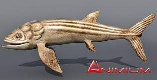 Topping even the mosasaur and tusoteuthis for both. Leedsichthys 3d Model
