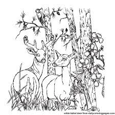 Whitepages is a residential phone book you can use to look up individuals. Drawing Deer 2612 Animals Printable Coloring Pages
