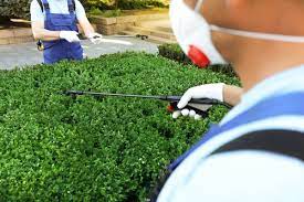 Proven pest control blue mountains provides a premium pest control and termite services to the blue mountains, nsw area. 6 Best Pest Control Companies In Raleigh Nc 2021 This Old House