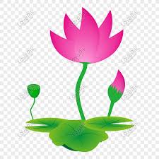Berikut ini kumpulan gambar sketsa bunga, gambar bunga, dan lukisan bunga yang mudah ditiru, diantaranya seperti sketsa bunga matahari, mawar, tulip, sakura, teratai, sepatu, melati, dll. Vektor Tikus Dicat Lotus Ilustrasi Bunga Teratai Png Grafik Gambar Unduh Gratis Lovepik