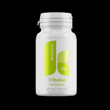 Image result for Tribulus terrestris