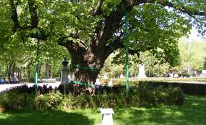 Suntem Romani È™i Punctum Eminescu SÄƒ Ne Judece Er News