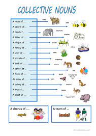 collective nouns english esl worksheets for distance learning and physical classrooms