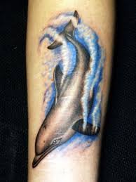 Dolphin Design Dolphins Tattoo Picture Tattoos Tattoos