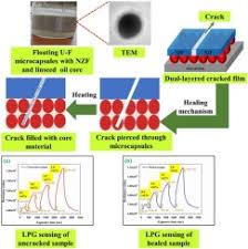 100% brand new and high quality. Healable Highly Sensitive Lpg Sensor Based On Ni0 4zn0 6fe2o4 Nanohybrid Grown By Autocombustion Process Sciencedirect