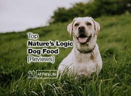 It has since become quite a fad among dog breeders, thanks to the gains it presents. 12 Top Nature S Logic Dog Food Reviews 2021 All Pet S Life