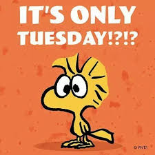 We did not find results for: Tuesday Morning Funny Quotes Images Snoopy Funny Snoopy Quotes Snoopy