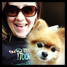 Adopting three kitten sisters in West Virginia