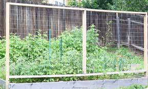 Growing climbing beans and peas on a trellis is a great way to maximise your garden's growing space, while providing habitat and shade that further helps. Garden Trellis How To Build Tips For Growing Umbel Organics