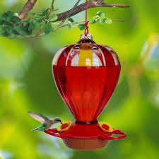 Check spelling or type a new query. Royal Wing Classic Glass Balloon Hummingbird Feeder 32 Oz Capacity Hb 0730c 1 At Tractor Supply Co