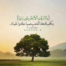 desertrose الله نور السموات والأرض calligraphy art الل ه ن ور الس م او ات و ال أ ر ض م ث ل ن ور ه ك م ش ك home decor decals noble quran words