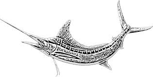 The World S Fastest Fish