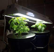 Looking for the best t8 led grow lights that you can buy? T5 Grow Lights Our Top 7 Picks For 2021 Epic Gardening