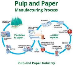 Papermaking is the manufacture of paper and cardboard, which are used widely for printing, writing, and packaging, among many other purposes. Make A Flow Chart Process Of Making Paper Brainly In