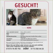 Klicken sie auf download und speichern sie die datei auf ihrem pc (vorlage funktioniert nicht/bedingt auf einem handy und bedingt nur am tablet) öffnen sie die vorlage und füllen die entsprechenden formularfelder aus. 19 Gut Suchanzeige Katze Vorlage Solche Konnen Adaptieren In Microsoft Word Dillyhearts Com