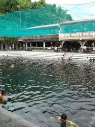 Laguna Hotspring Swimming Pool With Fish Massage Swimming Pools Pool Outdoor