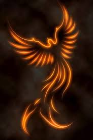 We did not find results for: 9 Phoenix Bird Images Ideas Phoenix Bird Phoenix Tattoo Phoenix Bird Tattoos