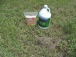 This often results in bites to both you could choose a commercial ant treatment, but these can be expensive. 11 Kill Fire Ants Ideas Fire Ants Ants Kill Fire Ants