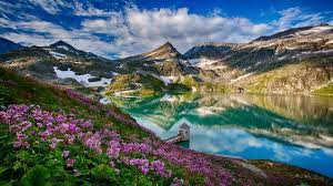 We have a massive amount of desktop and mobile backgrounds. Spring Landscape Weissseeglacier Austria Lake Mountain Flowers Reflection Wallpaper Hd Wallpapers13 Com