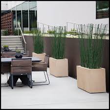 Outdoor Artificial Horsetail Groves In Modern Planters Artificial Plants Outdoor Artificial Plants Indoor Artificial Plant Wall