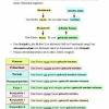 (i may, can, must swim.) many modal verbs cannot be used in all of the english tenses. 1