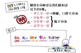 糖質を分解する消化酵素4種 糖質を分解する消化酵素は以下の4種となります アミラーゼ 膵臓 口腔で分泌される マルターゼ 腸で分泌される ラクターゼ 腸で分泌される スクラーゼ 腸で分泌される 以上の4種は確実に覚えるようにしておきましょう