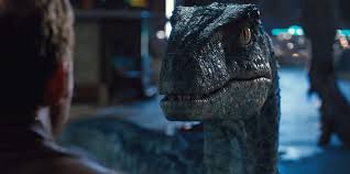 Free Download Jurassic World Blue By Jd1680a 1916x956 For Your Desktop Mobile Tablet Explore 48 Jurassic World Velociraptor Wallpaper Jurassic World Velociraptor Wallpaper Jurassic World Wallpaper Jurassic World Desktop Wallpapers Want more jurassic world™ alive content? jurassic world velociraptor wallpaper