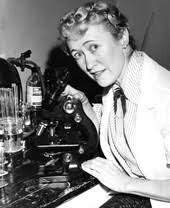 Florida Memory • State chemist Cecil Tracy.