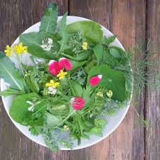 By storing canned goods and having plans in place to grow vegetables, you will most definitely give yourself an advantage, but what else might be available to eat? 10 Edible Wild Flowers The L Oven Life
