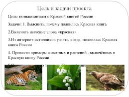 проект красная книга или возьмем под защиту 2 класс рабочая тетрадь Proekt Krasnaya Kniga Rossii