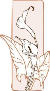 Art Nouveau Lily Art Art Nouveau Art Nouveau Decor