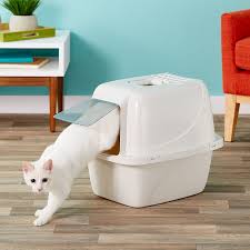 This way, you can provide your cat or kitten with a safe. The 9 Best Cat Litter Boxes Of 2021
