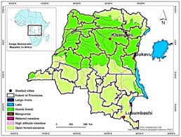 Image result for Vernonia congolensis