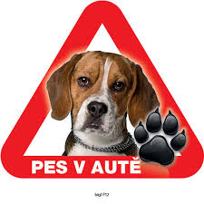 Image result for bígl