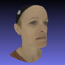 PDF) Teaching Language to Deaf Infants with a Robot and a Virtual Human