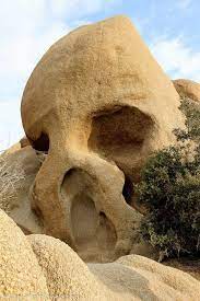 Skull Rock Joshua Tree National Park Joshua Tree National Park Joshua Tree Park National Parks