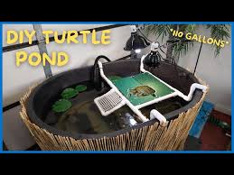 My diy pond filter for my tilapia ibc tote. Setting Up 110 Gallon Indoor Turtle Pond Diy Litetube