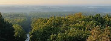 Le département du loiret et tourisme loiret soutiennent la reprise d'activités de nos prestataires 👩‍🍳et leur offrent un kit sanitaire made in loiret pour contribuer au prochaine distribution mardi matin et jeudi. La Foret D Orleans Orleans Val De Loire Tourisme