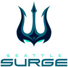 نتیجه جستجوی لغت [surge] در گوگل