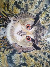 Lechuza In 2020 Owl Animals Bird Toutes les commandes passées sur notre boutique en ligne lechuza entre le pots et balconnières intégrant le système d'irrigation intelligent avec réserve d'eau de lechuza. lechuza in 2020 owl animals bird
