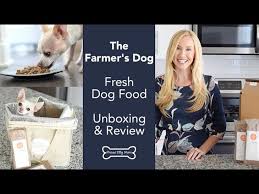 Benefits of feeding premium food The Farmer S Dog Unboxing Review Proud Dog Mom Youtube