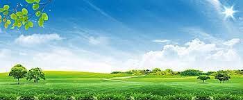 Fresh And Natural Green Landscape Background Landscape Background Beautiful Landscape Photography Nature Backgrounds