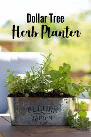Easy and cheap small container gardening for your kitchen window for less than 15 dollars. Rustic Rustic Herb Garden Planter Juggling Act Mama