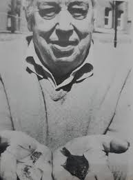 It's Raining Fish! Fish-falls and Other Curious Phenomena