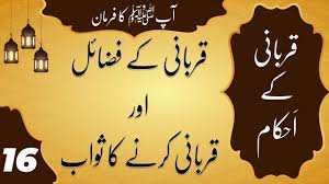 Qurbani Ke Fazail Aur Qurbani Karne Ka Sawab Qurbani Ke Ahkam Part 16 Home Decor Decals Decor Art
