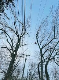 Demos la BIENVENIDA a los nuevos miembros! 🎉👏🏻 …. GRACIAS POR UNIRSE A  ESTA COMUNIDAD. Jece Maciel, Rafael Maldonado, Jose Manuel Rojas, Chavez  Mateo, Ramon Romero, Evita Toirac, Hector Aguirre, VICTORIO TREE