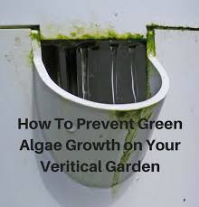 • tower garden mineral blend plant food (1 qt. Hydroponic Growing System Backyard Tower Garden