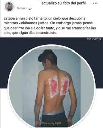 Profile for Angel Elvira